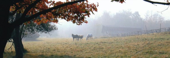 Horseriding