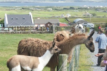 Visitor Farms