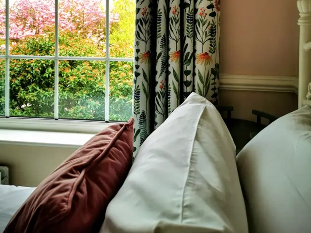 Room 5 - Twin Room 5 - Twin